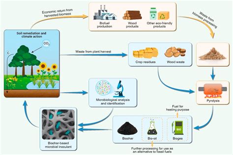  Biochar: Eine nachhaltige Lösung für den Boden und die Umwelt!