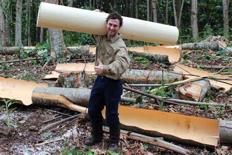 Balsa-Holz: Eine nachhaltige und vielseitige Lösung für Leichtbauprojekte in der Luft- und Raumfahrtindustrie!