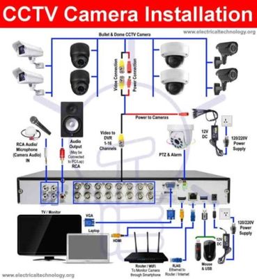 cctv 설치, 고양이도 관심을 가질까?