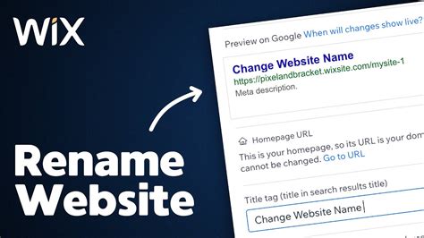 How to Change Website Name on Wix: A Journey Through Digital Identity and Creative Freedom