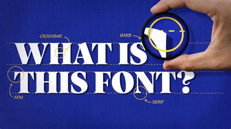 How to Identify a Font on a Website: A Journey Through Digital Typography and Unrelated Musings