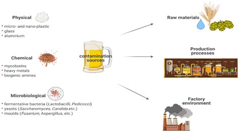  Malt - Ein Wunder der Natur für die Lebensmittelindustrie und Brauereien!