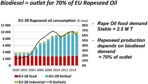 Rapeseed: Ein vielseitiges Ölpflanze für die Biokraftstoffproduktion und Futtermittelindustrie!